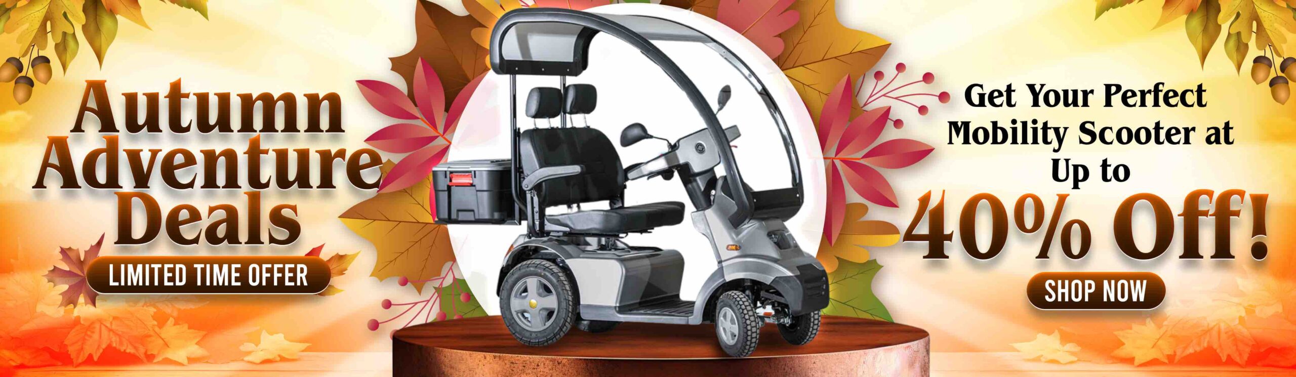 Autumn Mobility Scooter Sale